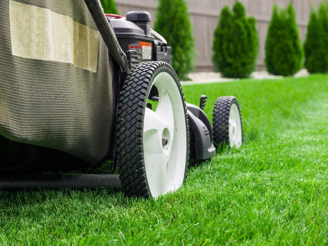 Essential Summer Lawn Care Projects